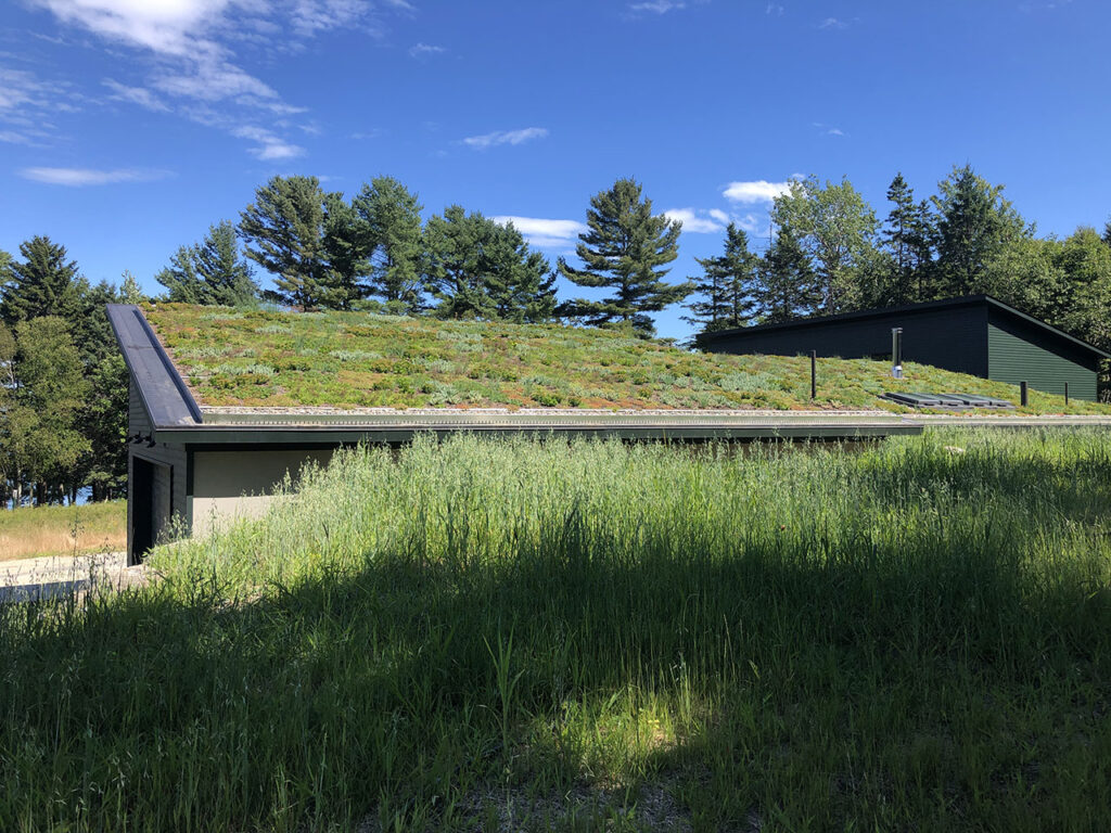 Green roof at Brooklin Shore Front home