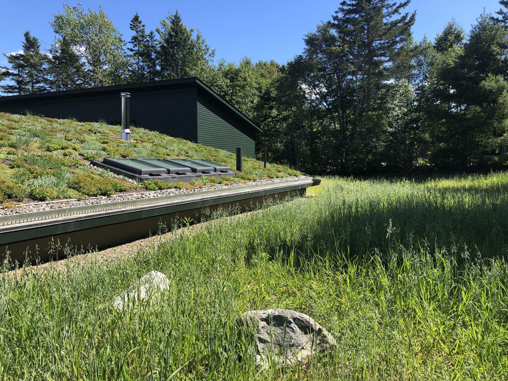 Green roof at Brooklin Shore Front home