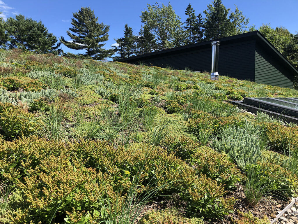 Green roof at Brooklin Shore Front home