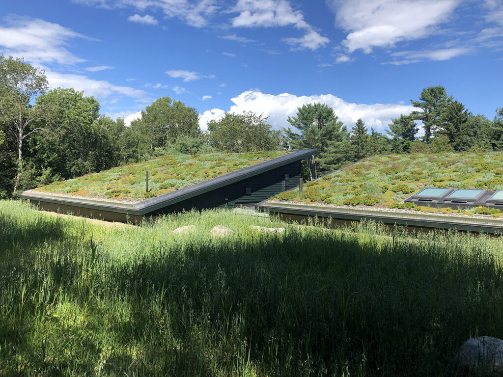 Green roof at Brooklin Shore Front home