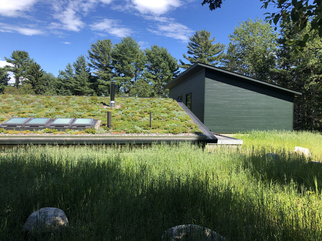 Green roof at Brooklin Shore Front home